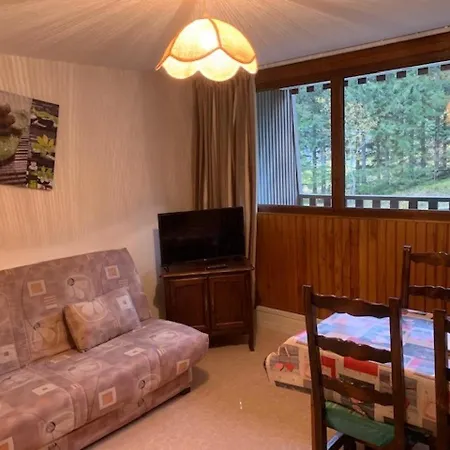 Mont-dore, 2 Pieces, 4 Personnes - Fr-1-415-66 Apartment *